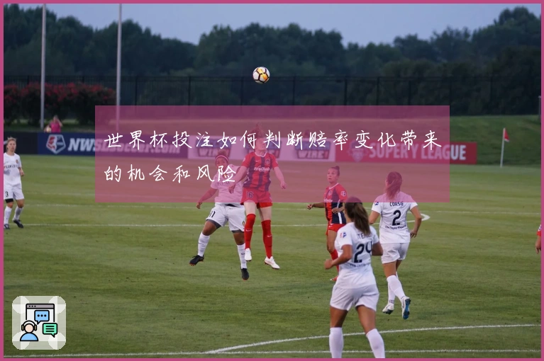 世界杯投注如何判断赔率变化带来的机会和风险