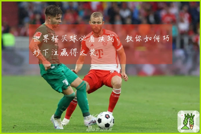 世界杯买球必看诀窍，教你如何巧妙下注赢得大奖