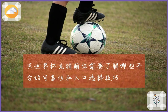 买世界杯竞猜前你需要了解哪些平台的可靠性和入口选择技巧