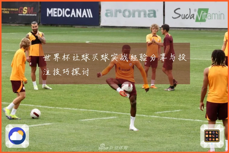 世界杯让球买球实战经验分享与投注技巧探讨
