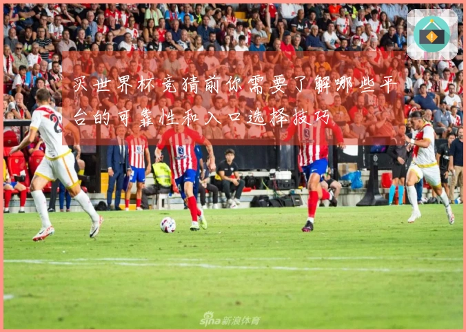 买世界杯竞猜前你需要了解哪些平台的可靠性和入口选择技巧