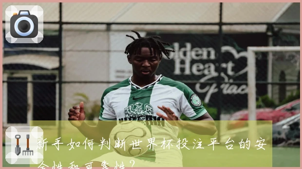 新手如何判断世界杯投注平台的安全性和可靠性？