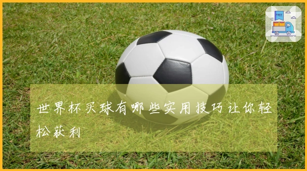 世界杯买球有哪些实用技巧让你轻松获利