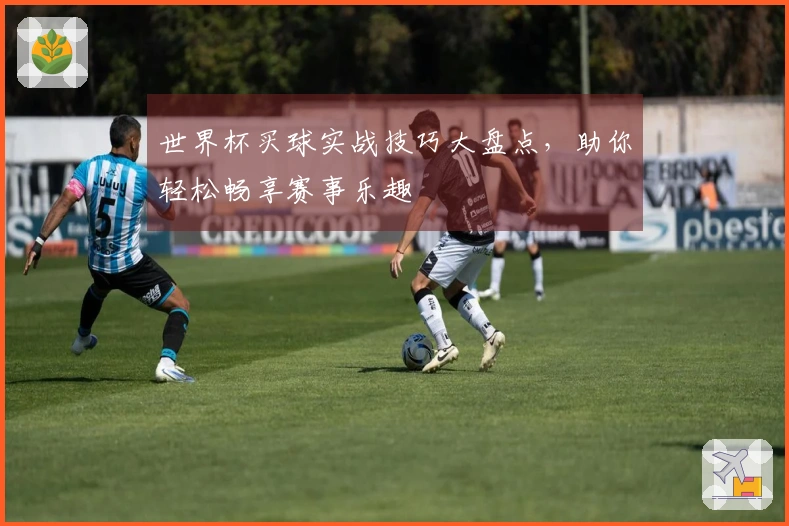 世界杯买球实战技巧大盘点，助你轻松畅享赛事乐趣