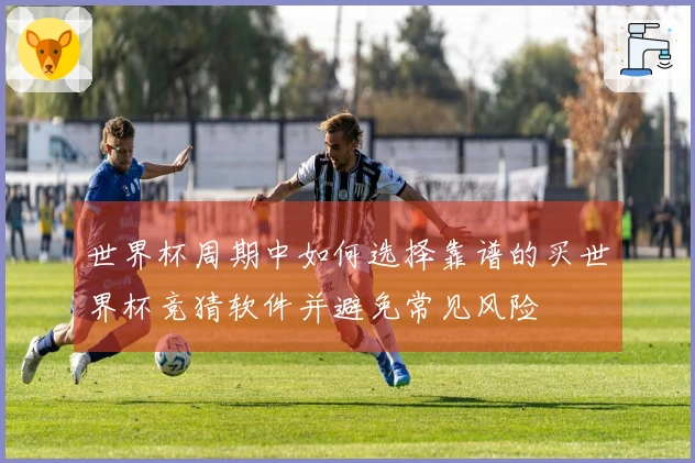 世界杯周期中如何选择靠谱的买世界杯竞猜软件并避免常见风险