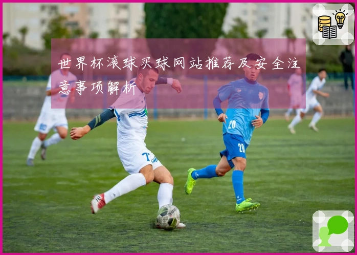 世界杯滚球买球网站推荐及安全注意事项解析