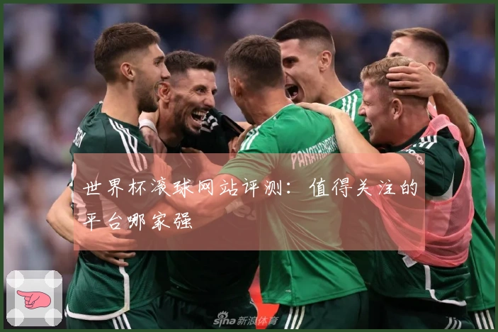 世界杯滚球网站评测：值得关注的平台哪家强