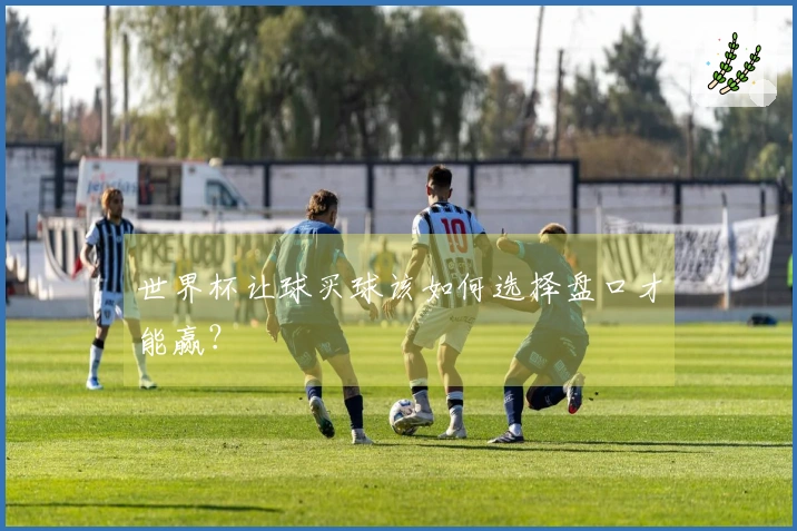 世界杯让球买球该如何选择盘口才能赢？