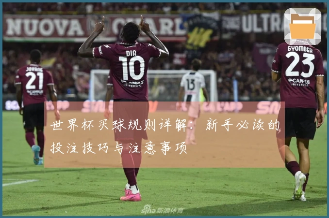 世界杯买球规则详解：新手必读的投注技巧与注意事项