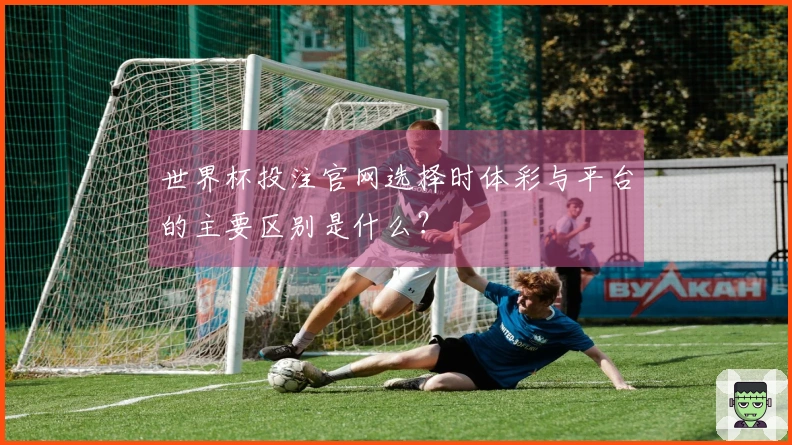 世界杯投注官网选择时体彩与平台的主要区别是什么？