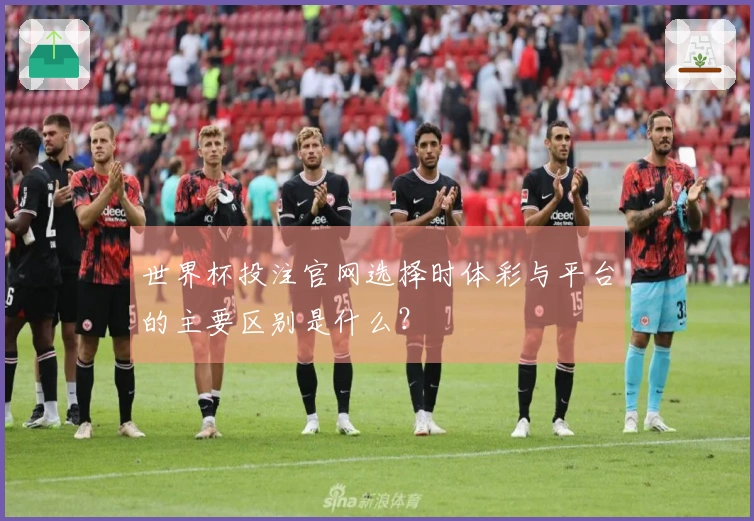 世界杯投注官网选择时体彩与平台的主要区别是什么？