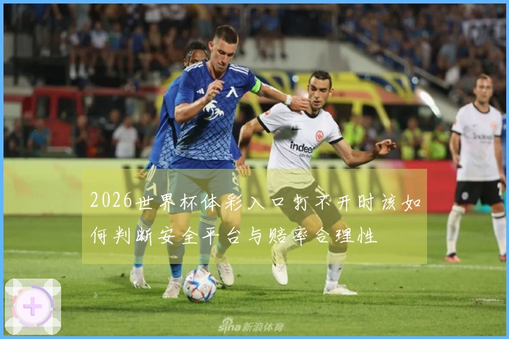 2026世界杯体彩入口打不开时该如何判断安全平台与赔率合理性