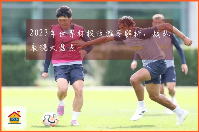2023年世界杯投注推荐解析，战队表现大盘点
