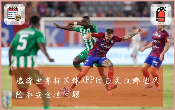 选择世界杯买球APP时应关注哪些风险和安全性问题
