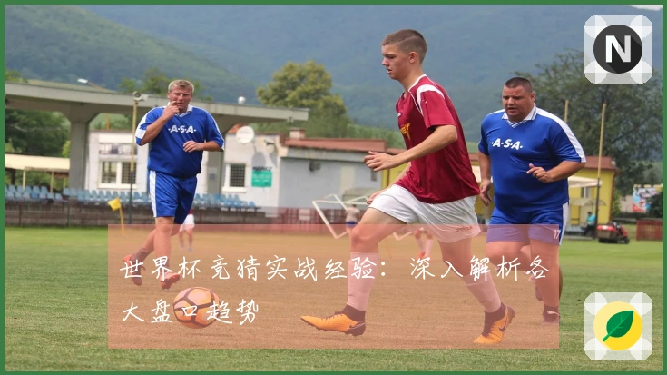 世界杯竞猜实战经验：深入解析各大盘口趋势
