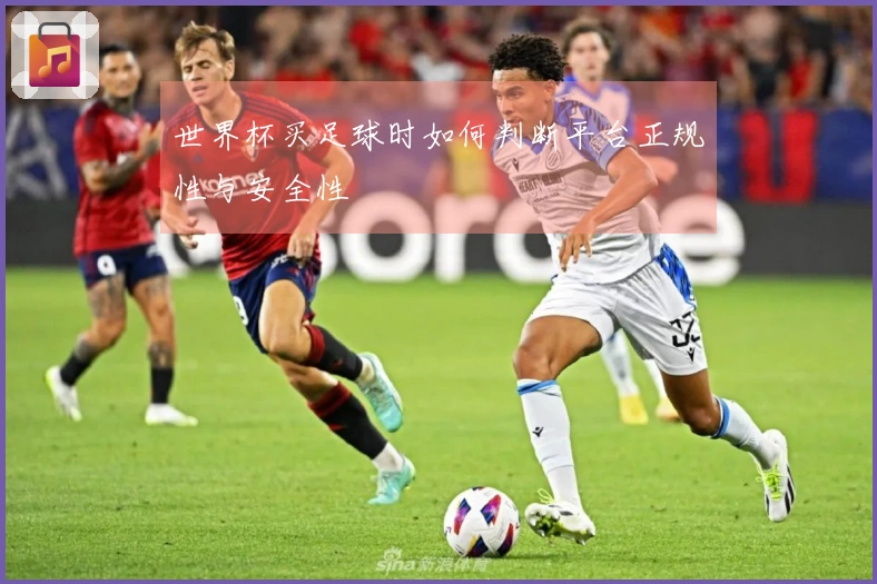 世界杯买足球时如何判断平台正规性与安全性