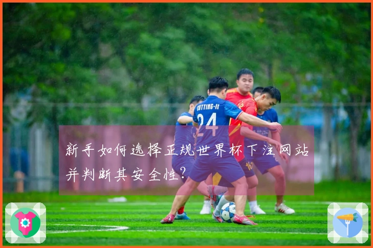 新手如何选择正规世界杯下注网站并判断其安全性？