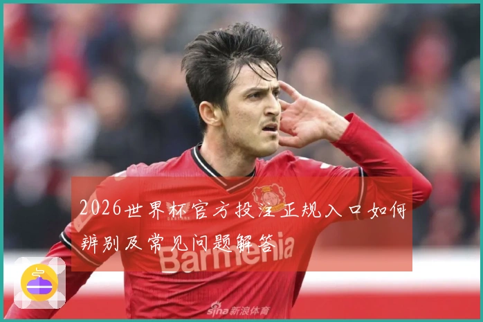 2026世界杯官方投注正规入口如何辨别及常见问题解答