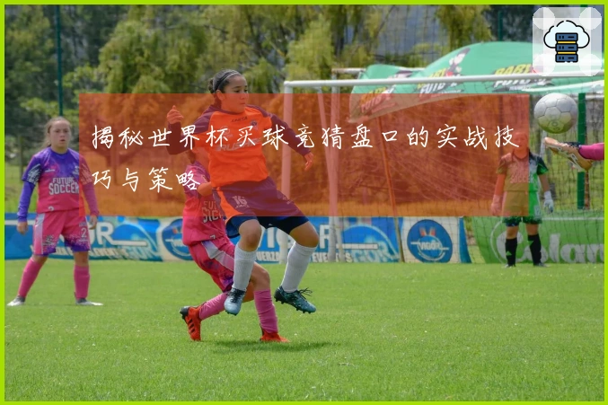 揭秘世界杯买球竞猜盘口的实战技巧与策略