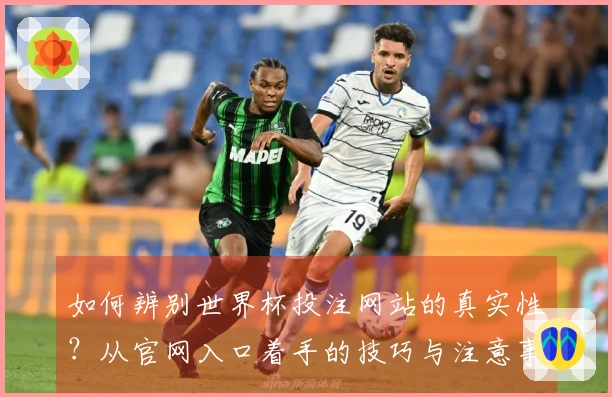 如何辨别世界杯投注网站的真实性？从官网入口着手的技巧与注意事项