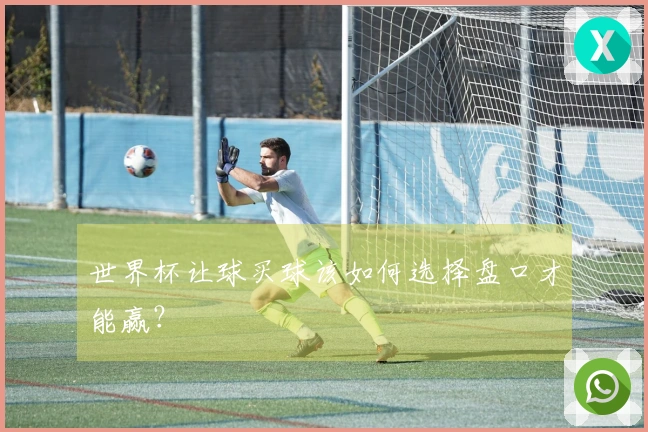 世界杯让球买球该如何选择盘口才能赢？