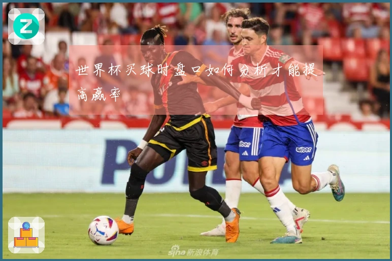 世界杯买球时盘口如何分析才能提高赢率
