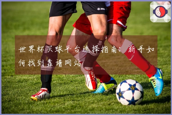 世界杯买球平台选择指南：新手如何找到靠谱网站