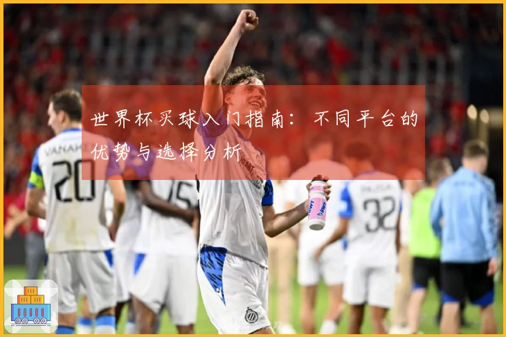 世界杯买球入门指南：不同平台的优势与选择分析