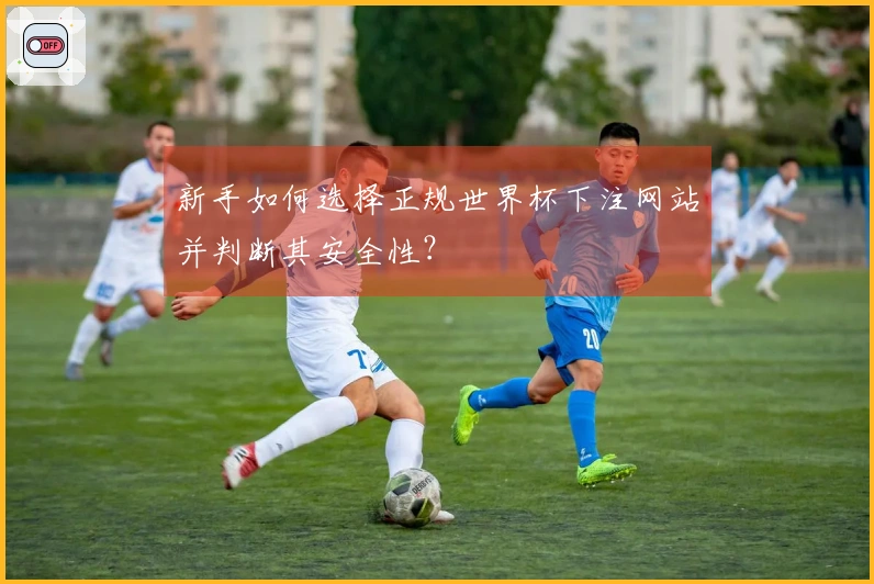新手如何选择正规世界杯下注网站并判断其安全性？
