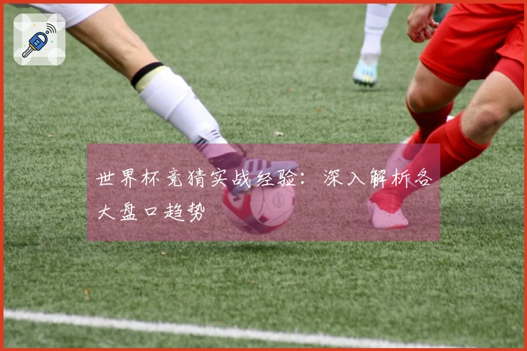 世界杯竞猜实战经验：深入解析各大盘口趋势